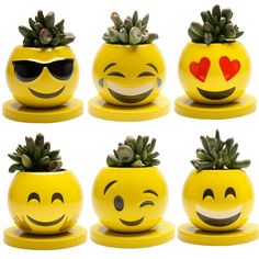 six yellow smiley face planters with hearts and sun glasses on them, each holding succulents