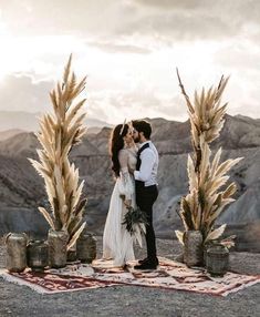 a newly married couple kissing in front of tall pamodia plants on a rug