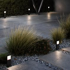 some plants and lights in front of a building