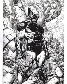 David Finch - Wolverine Wolverine Comic Art, Wolverine Artwork, Comic Art Sketch, Xmen Art, Wolverine Comic, Drawing Superheroes, Wolverine Art