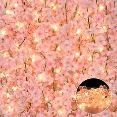 pink flowers are lit up with fairy lights