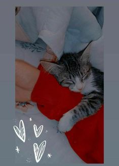 a cat sleeping on top of a person's leg with hearts drawn in the background