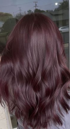 Dark Red With Purple Highlights, Dark Reddish Purple Hair, Purple Reddish Hair, Purple Dye On Brown Hair, Dark Purple Brown Hair, Cola Brown Hair, Wine Brown Hair, Brown Hair With Purple Undertones, Dark Brown And Purple Hair