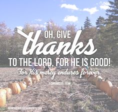 a field full of pumpkins with the words oh give thanks to the lord, for he is good