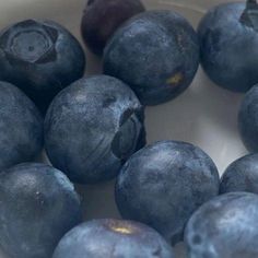 some blueberries are in a white bowl