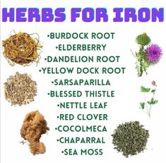 Herbs for Iron  #nutrition #nutritionist #healthyeating #fitness #vegan #eatclean #plantbased #nutritioncoach #cleaneating  #diet #organic #health #healthylifestyle Alkaline Herbs, Herbal Education, Medicinal Herbs Garden, Medical Herbs, Food Health Benefits, Magic Herbs, Fulvic Acid, Iron Deficiency