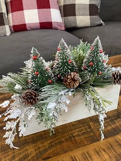 a christmas centerpiece with pine cones and evergreens on a table in front of a couch