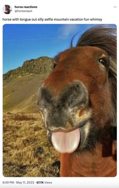 a horse with its tongue out and it's mouth open in front of the camera