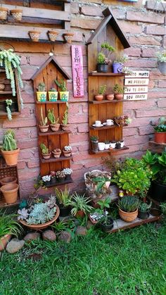 many potted plants are on display in front of a brick wall with wooden shelves