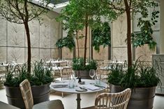 an indoor dining area with potted plants and tables in the center, surrounded by chairs