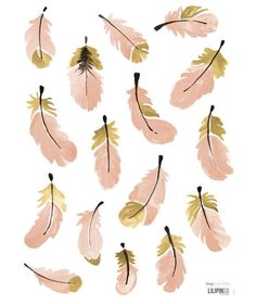 a group of pink and gold feathers arranged in a pattern on a white paper background