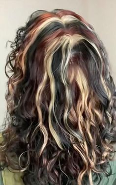 Fall Hair Ideas For Brunettes Highlights, 2c Hair Color Ideas, Hair Color Ideas For Brunettes Colorful, Blue Calico Hair, Hair Color Ideas Alt, Skunk Highlights Curly Hair, Red Brown And Blonde Hair, Black Red And Blonde Hair