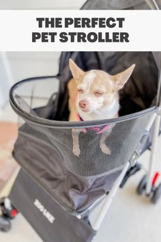 a small dog sitting in a stroller with the words, the perfect pet stroller