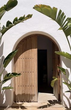 an entrance to a white building with wooden doors and large green plants in the foreground