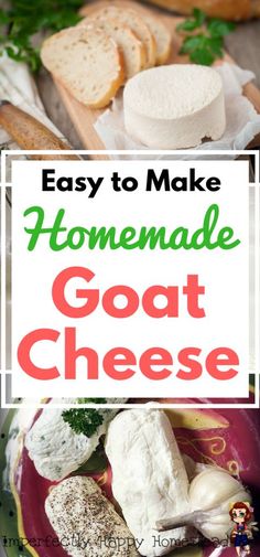 homemade goat cheese on a plate with bread in the background and text overlay that reads easy to make homemade goat cheese