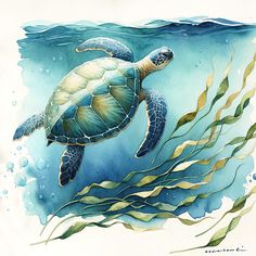 a watercolor painting of a turtle swimming in the ocean with seaweed and plants