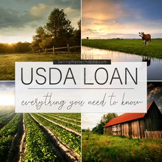 a series of photos with the words, usda loan everything you need to know