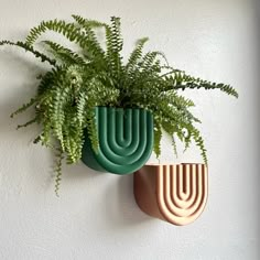 a green plant is hanging on the wall