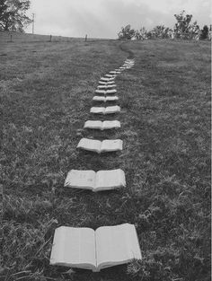 an open book sitting on top of a grass covered field next to a line of books