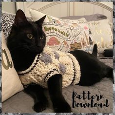 a black cat laying on top of a bed next to a pillow with a sweater on it