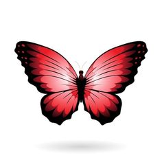 a red butterfly on a white background