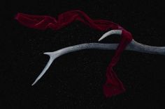 a red scarf hanging from the side of a white and black branch in the dark