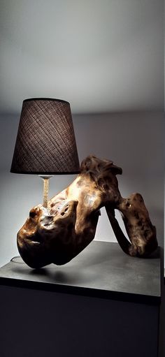 a lamp that is sitting on top of a table next to a cow's head