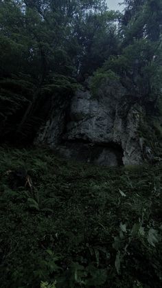 a large rock in the middle of a forest