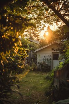 the sun shines brightly through the trees in this backyard