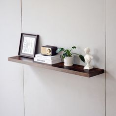 a shelf with some books and plants on it