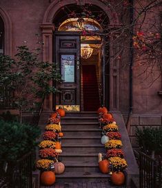 a bunch of pumpkins that are sitting on the steps in front of a building