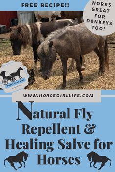 the flyer for natural fly repellent and health save for horses is shown here