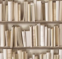 several rows of books are lined up on shelves