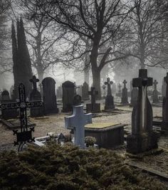 an old cemetery with many headstones and trees in the background on a foggy day