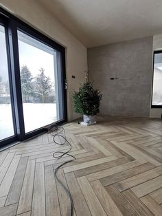 an empty room with large windows and wood flooring on the ground next to a potted plant