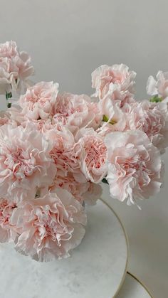 pink carnations are in a white vase on a marble table with gold trim