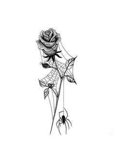 a drawing of a rose with a spider hanging from it's web on the side