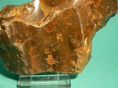 a piece of rock sitting on top of a glass stand in front of a blue background