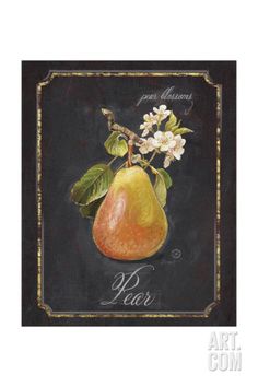 Vegetable Art, Pear Art, Online Wall Art, Fruit Art, Chalk Art, Fine Arts Posters, College Art, High Quality Art Prints, Find Art