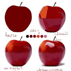 an apple is shown with different colors and sizes to choose for it's flavor