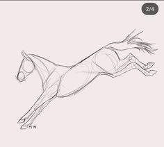 a drawing of a horse jumping in the air with it's front legs spread out