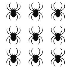 black spider silhouettes on a white background, set of eight different sizes and colors