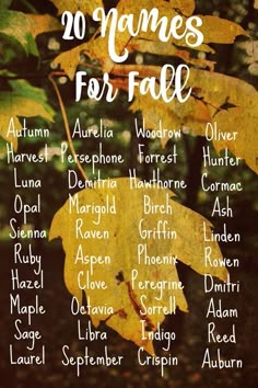 a poster with leaves on it that says 20 names for fall