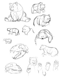 several different types of animals are shown in this drawing