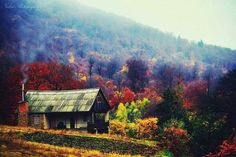 an old cabin in the mountains surrounded by fall foliage and trees with red, orange, yellow, and green leaves