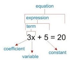 a diagram showing the number of different expressions in each expression, including 3x and 5 = = 20