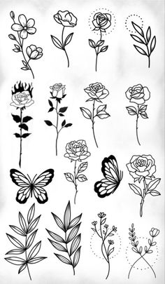 flowers and butterflies drawn in black ink on white paper