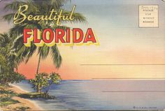 a postcard with the words beautiful florida on it