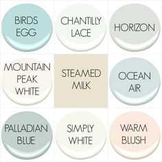 the names of different types of paint colors in each color scheme, including white and blue