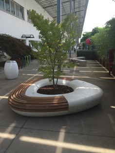 a small tree is growing in the center of a circular planter with wooden slats